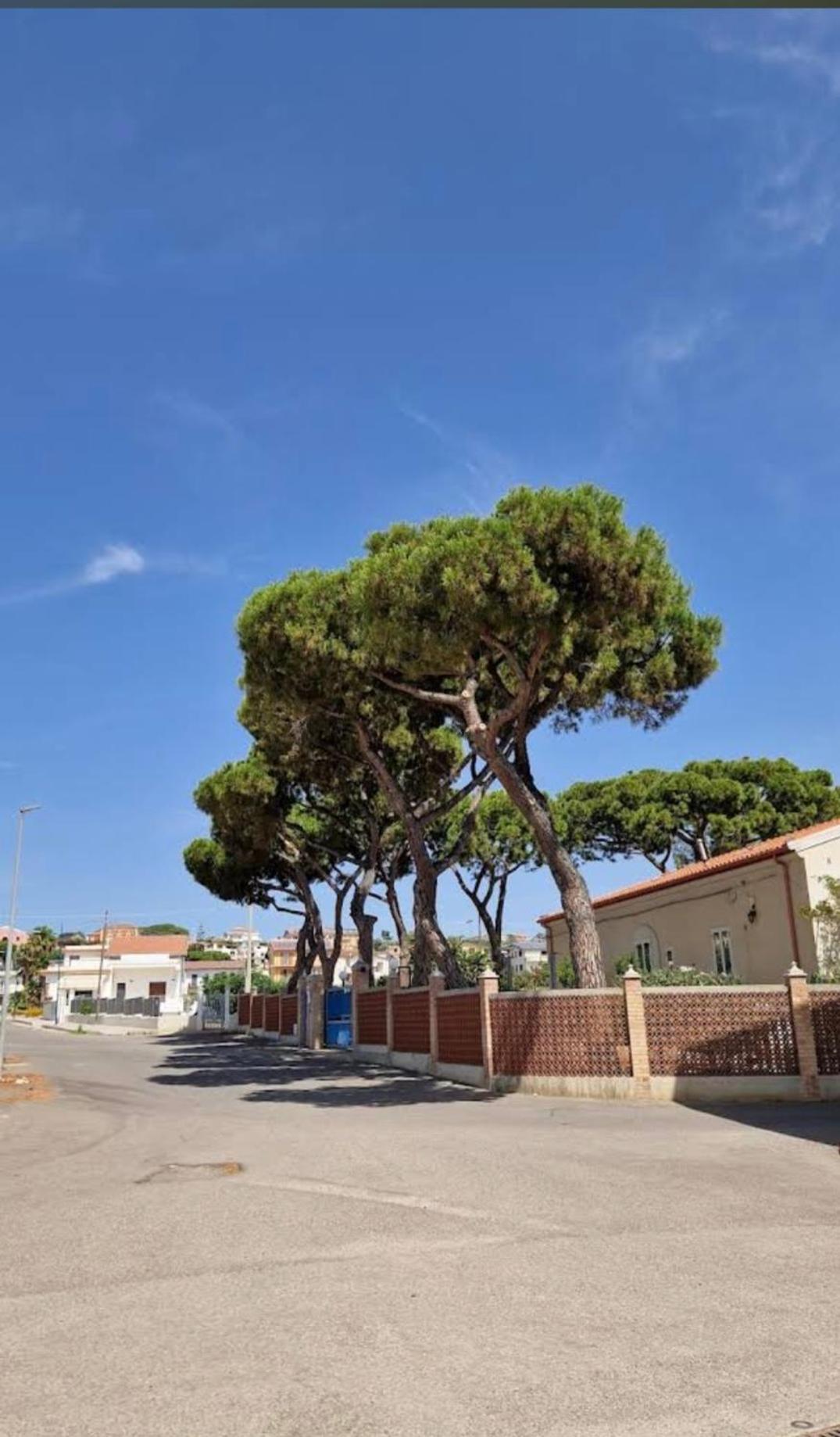 Il Sogno Di Calipso Bed & Breakfast Amendolara Eksteriør bilde